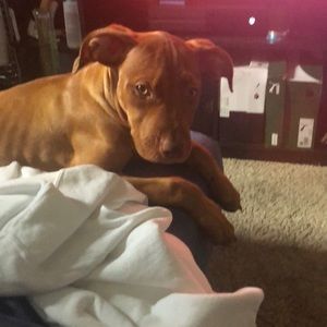 Meet your Posher, Aiden